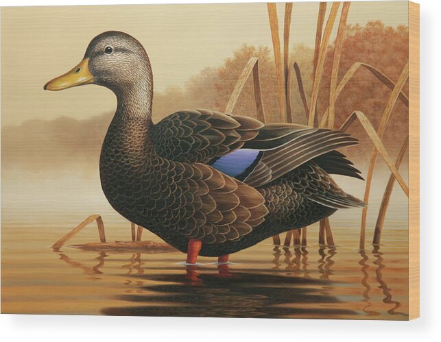 Mallards Wood Print featuring the painting Autumn Black Duck by Guy Crittenden