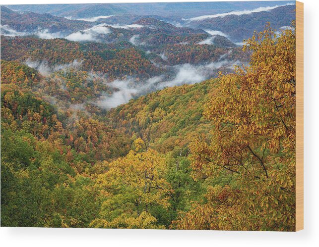 Vivid Autumn Landscape On The Blue Ridge Wood Print featuring the photograph Autumn Blue Ridge Mountains by Dan Sproul
