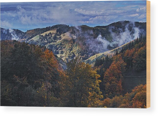  Wood Print featuring the photograph Autumn colors in Obermuenstertal by Ioannis Konstas