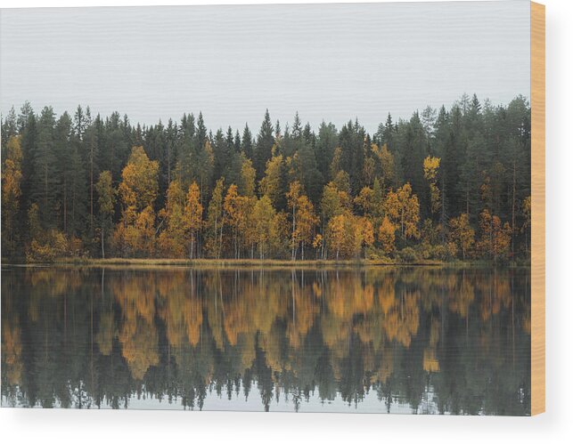 Dramatic Wood Print featuring the photograph Autumn fairy tale in Kainuu, Finland by Vaclav Sonnek