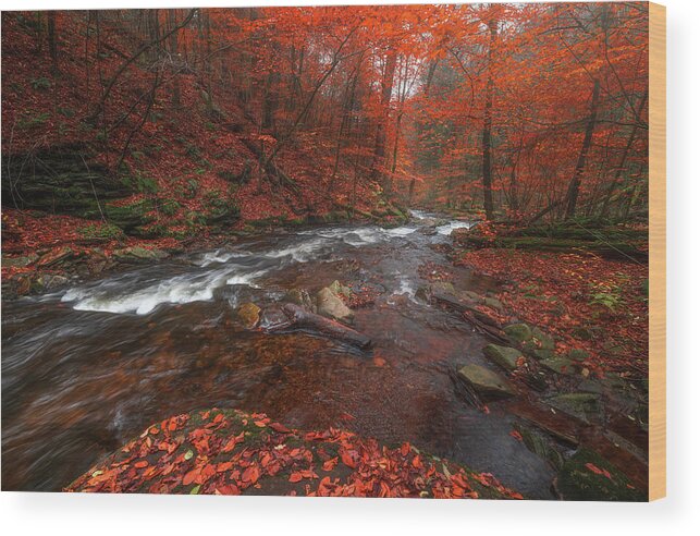 Fall Scenes Wood Print featuring the photograph Autumn Fire by Darren White