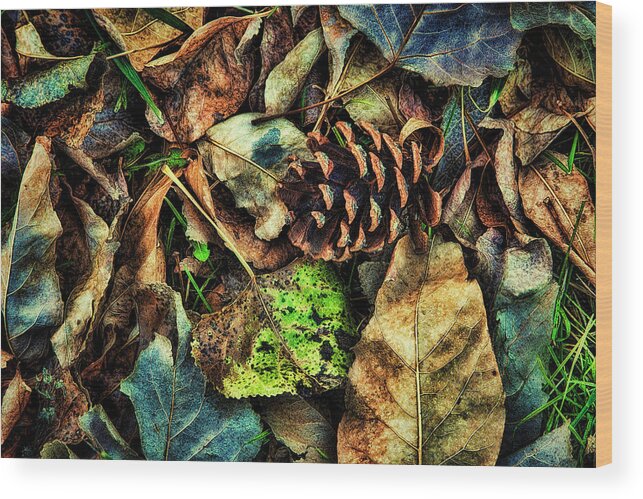 Pinecone Wood Print featuring the photograph Autumn Gathering by Steve Sullivan