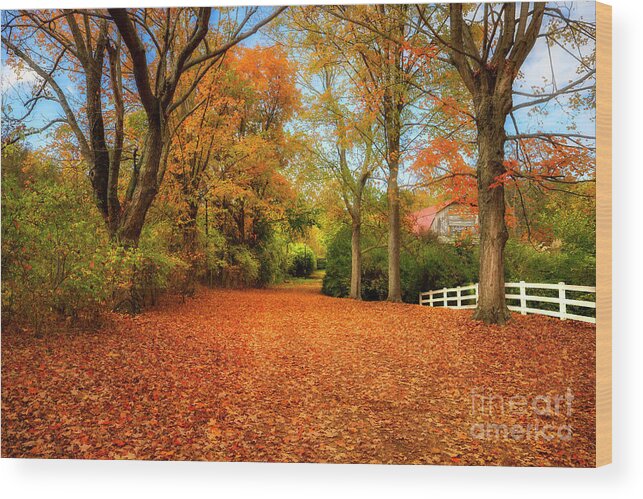 Autumn Wood Print featuring the photograph Autumn in the Country by Shelia Hunt