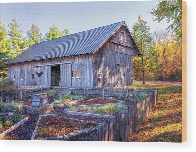 Barn Wood Print featuring the photograph Autumn in the Herb Garden by Susan Rissi Tregoning