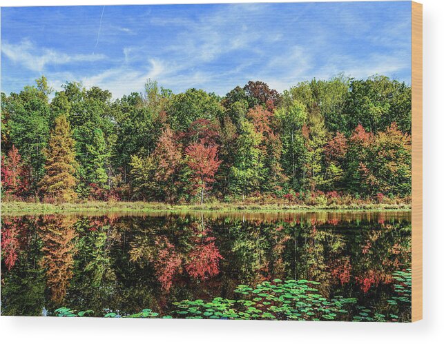 Lake Wood Print featuring the photograph Autumn Lake by Addison Likins