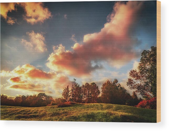 Foliage Wood Print featuring the photograph Autumn landscape and pink clouds by Lilia S