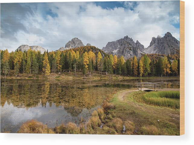 Autumn Wood Print featuring the photograph Autumn landscape with mountains and trees by Michalakis Ppalis