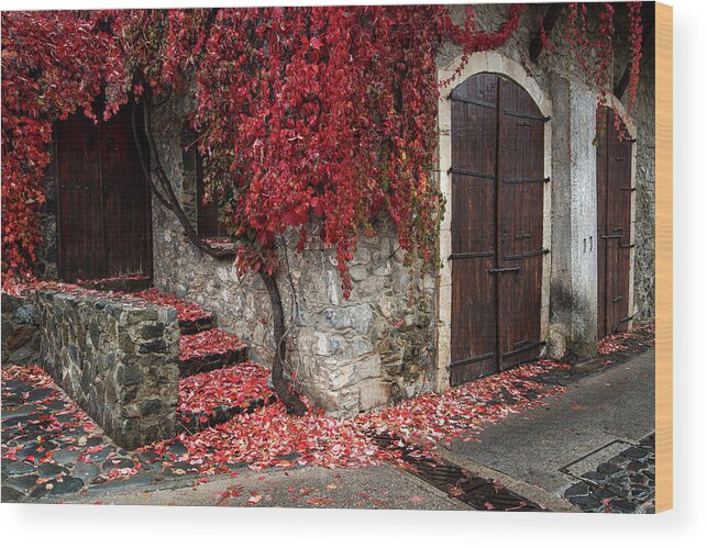Autumn Wood Print featuring the photograph Autumn landscape with red plants on a hous wall by Michalakis Ppalis
