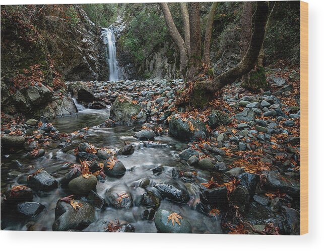 Waterfall Wood Print featuring the photograph Autumn landscape and waterfall and yellow leaves by Michalakis Ppalis