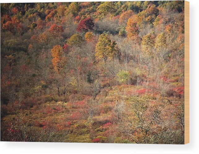 Autumn Wood Print featuring the photograph Autumn Memories by Allen Nice-Webb