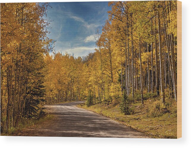 Co Wood Print featuring the photograph Autumn On 523 by Lana Trussell