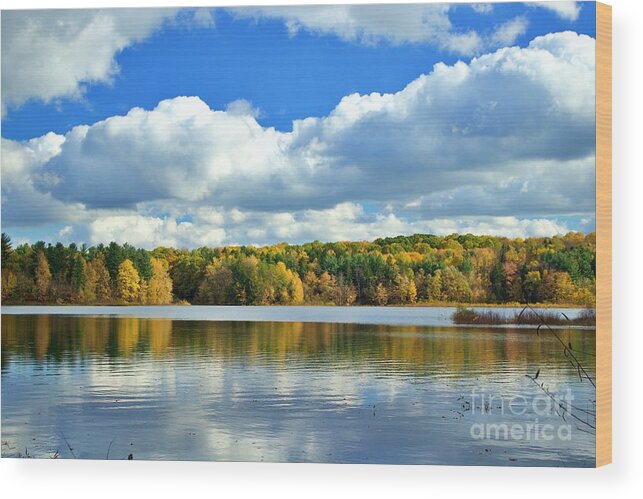 Autumn Wood Print featuring the photograph Autumn Reflections by Yvonne M Smith