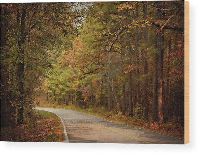 Arkansas Wood Print featuring the photograph Autumn Road by Lana Trussell