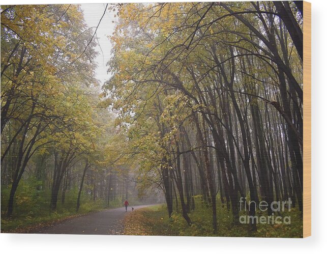 Nature Wood Print featuring the photograph Autumn Symphony In The Forest by Leonida Arte