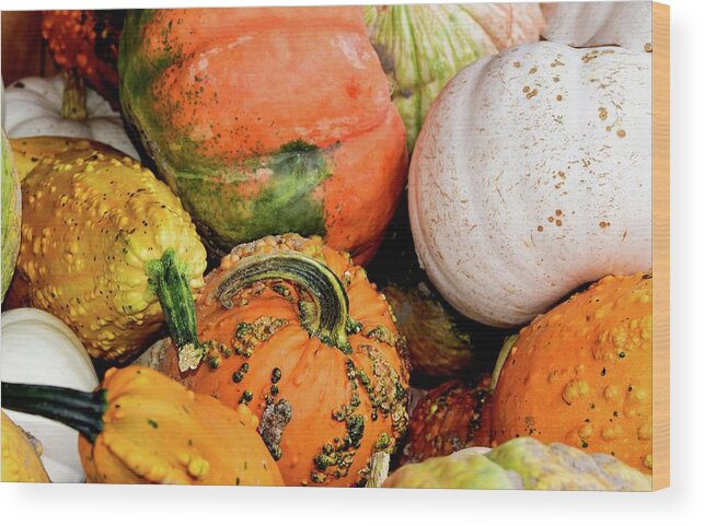 Pumpkin Wood Print featuring the photograph Autumn's brilliant abundance by Lynn Hunt