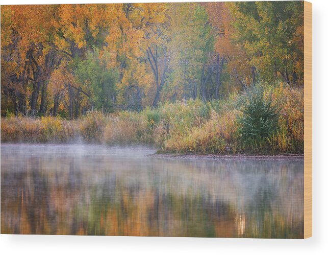 Pond Wood Print featuring the photograph Autumn's Canvas by Darren White