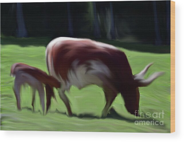 Baby Wood Print featuring the photograph Baby Longhorn Drinking Abstract by Bailey Maier