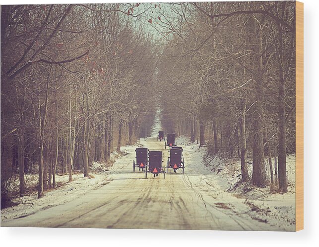 Scenic Wood Print featuring the photograph Backroad Buggies by Carrie Ann Grippo-Pike