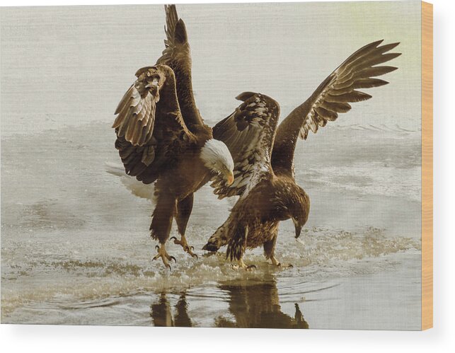 Bird Wood Print featuring the photograph Bald Eagle Series #9 Ending The Attack by Patti Deters