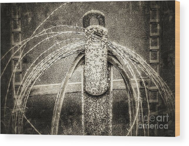 Fencing Wood Print featuring the photograph Barbed Wire by Mike Eingle