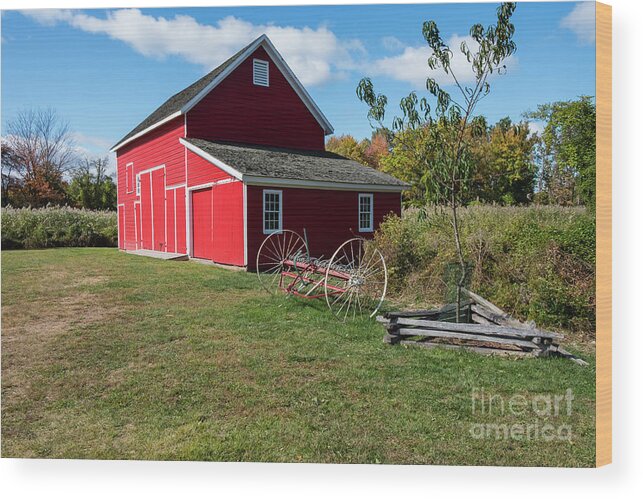 Nature Wood Print featuring the photograph Barn Appeal by Len Tauro