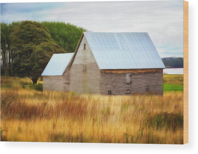 Barn Wood Print featuring the photograph Barn in P.E.I. by Deborah Penland