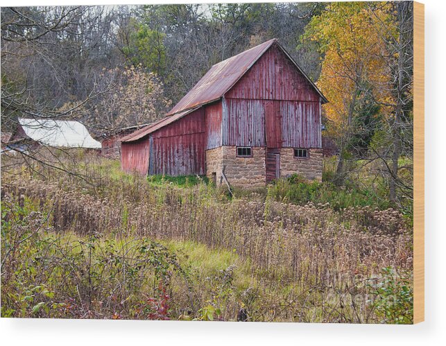 Barn Wood Print featuring the photograph Barn in Weeds by Jan Day
