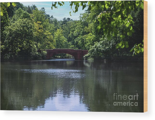 Outside Wood Print featuring the photograph Bass Pond at The Biltmore by Ed Taylor