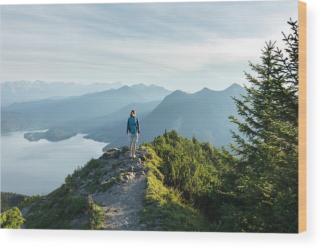 Tranquility Wood Print featuring the photograph Bayerische Alpen - Herzogstand by Christoph Wagner
