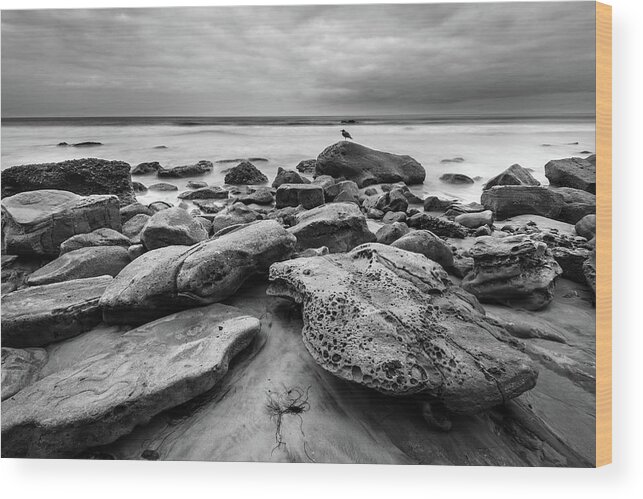 Seascape Wood Print featuring the photograph Baywatch by Alexander Kunz