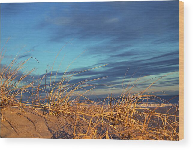 Beach Wood Print featuring the photograph Beach Grass by Seth Love