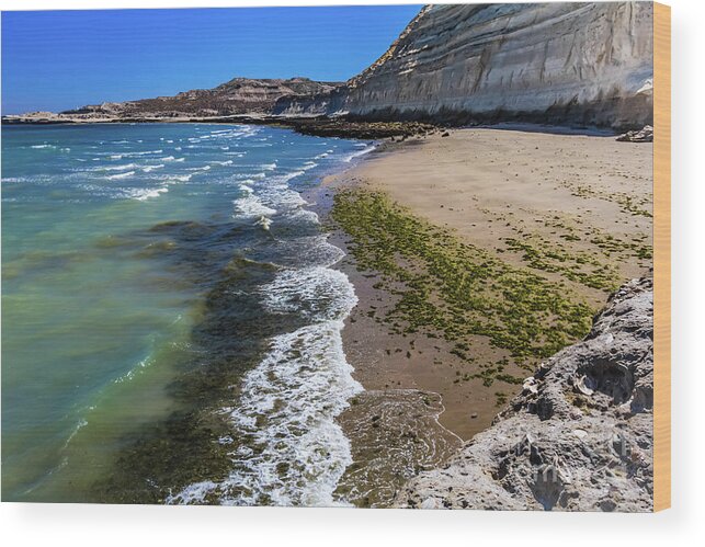 Puerto Piramides Wood Print featuring the photograph Beach in Puerto Piramides, Argentina by Lyl Dil Creations