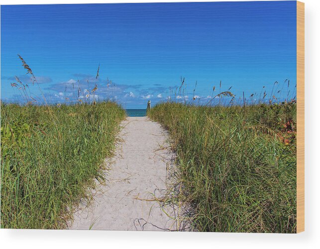 Beach Wood Print featuring the photograph Beach Path by Blair Damson