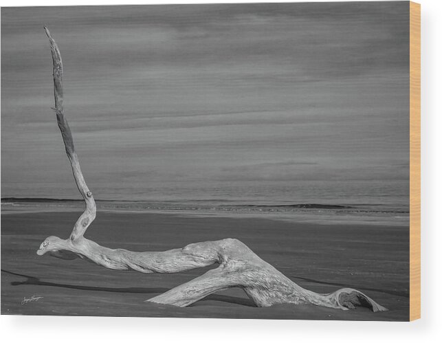 Boneyard Beach Wood Print featuring the photograph Beached by Jurgen Lorenzen
