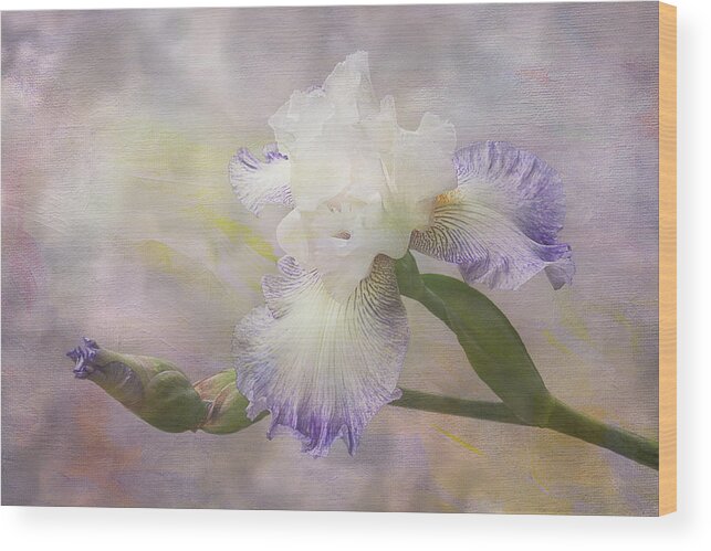 Iris Wood Print featuring the photograph Bearded Iris 'Gnuz Spread' by Patti Deters