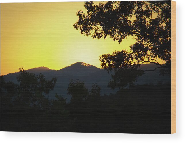 Sunset Wood Print featuring the photograph Beautiful Sunset by Demetrai Johnson