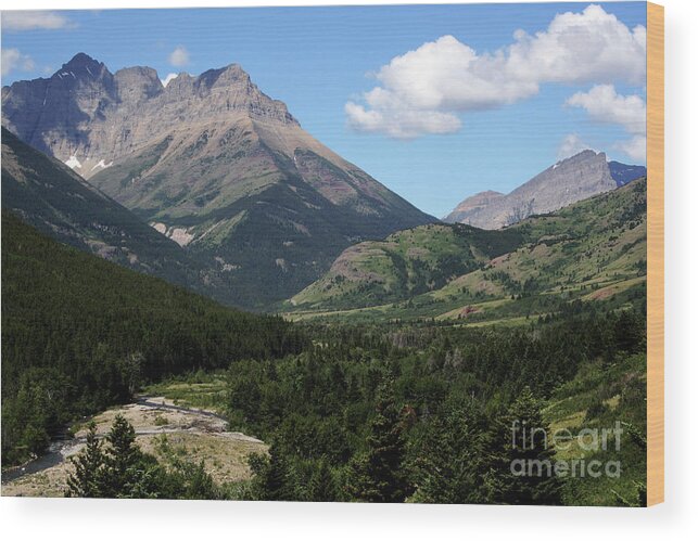 Nature Wood Print featuring the photograph Beautiful Valley by Mary Mikawoz