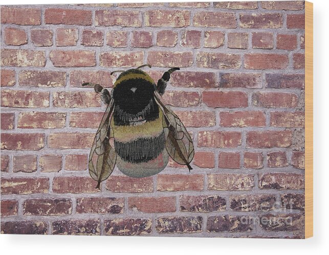 Affinity Photo Wood Print featuring the photograph Bee on a brick wall by Pics By Tony