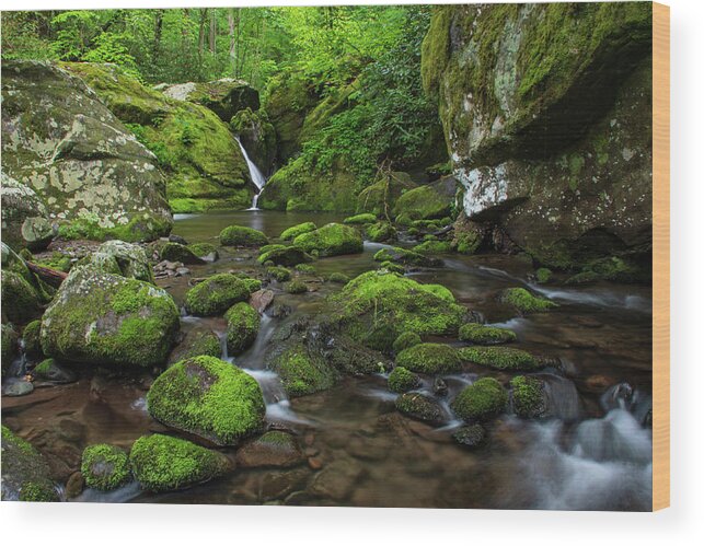 Great Smoky Mountains National Park Wood Print featuring the photograph Below Place of a Thousand Drips by Melissa Southern