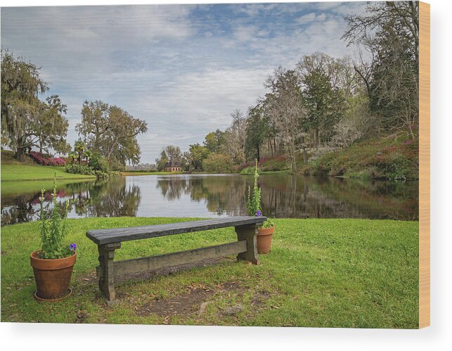 Middleton Place Plantation Wood Print featuring the photograph Bench with a View by Cindy Robinson