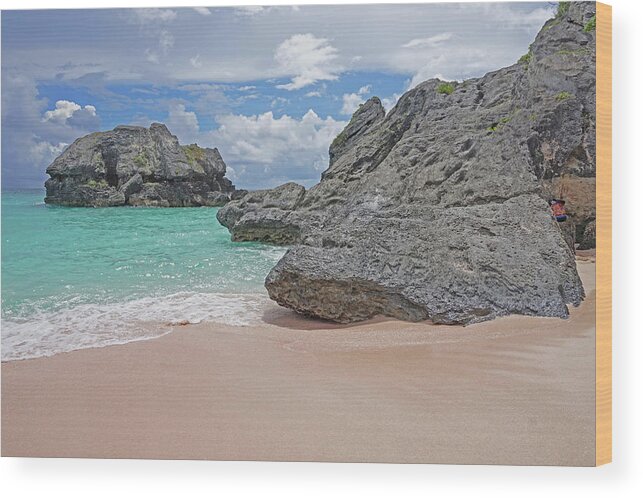 Bermuda Wood Print featuring the photograph Bermuda - Pink Beach by Yvonne Jasinski