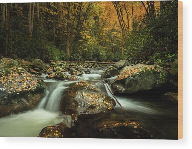 Landscape Wood Print featuring the photograph Big Creek by Darrell DeRosia