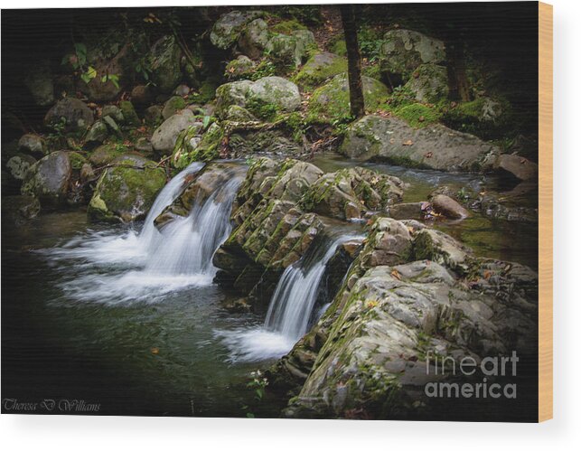 Landscape Wood Print featuring the photograph Big Creek, Smoky Mountains by Theresa D Williams