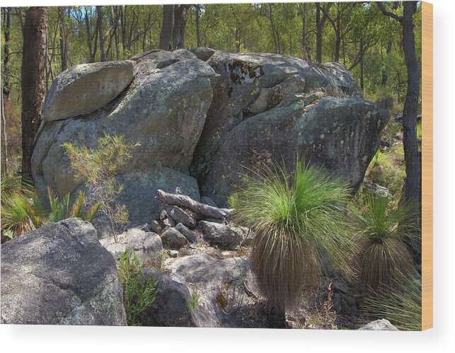 Austral Grasstree Wood Print featuring the photograph Big granite rock in the Western Australian bush by Jeremy Holton