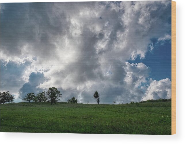 Shenandoah National Park Wood Print featuring the photograph Big Meadows Morning Sky by Lara Ellis