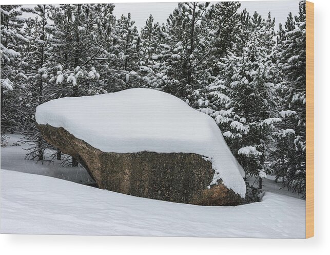 Colorado Wood Print featuring the photograph Big Rock - 0623 by Jerry Owens