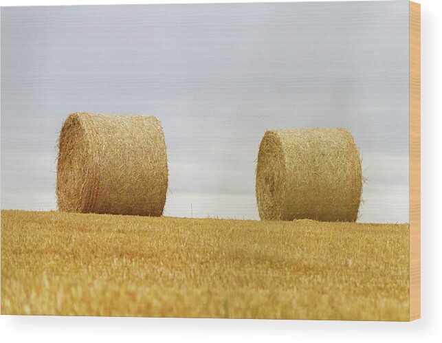 Bale Wood Print featuring the photograph Big round bales of straw in a field after harvest by Elenarts - Elena Duvernay photo