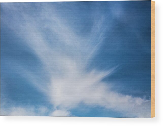Cloudscape Wood Print featuring the photograph Bird in Flight Cloudscape by Debra and Dave Vanderlaan