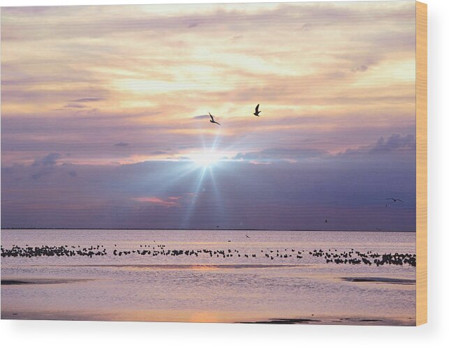 Beach Wood Print featuring the photograph Birds On The Bay At Sunset by Gaby Ethington