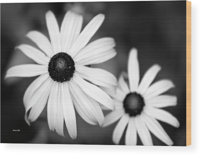 Black And White Wood Print featuring the photograph Black and White Rudbeckia Flowers by Christina Rollo